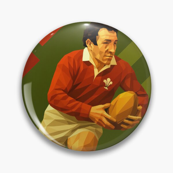 Item preview, Gareth Edwards Wales Rugby Icon Vector Art designed and sold by kakarikihill.