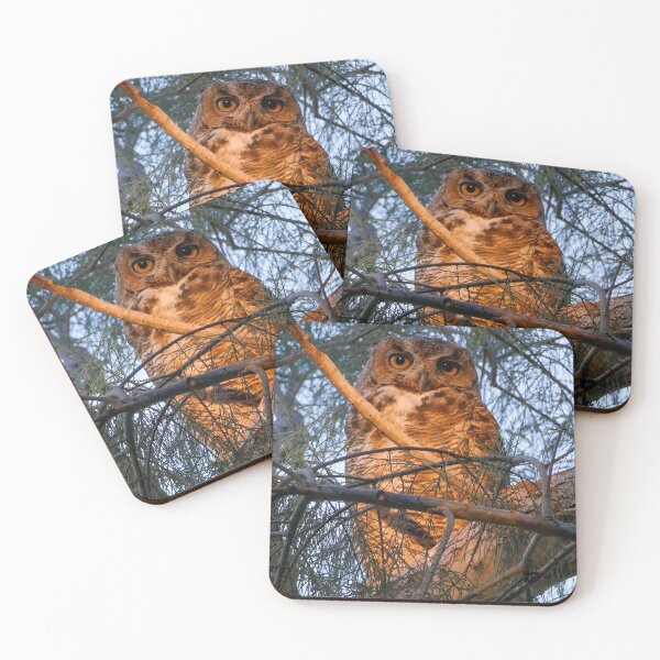 Item preview, Queenie the great horned owl  designed and sold by Scott Collins.