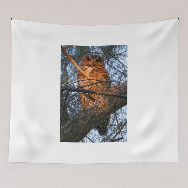 Item preview, Queenie the great horned owl  designed and sold by Scott Collins.