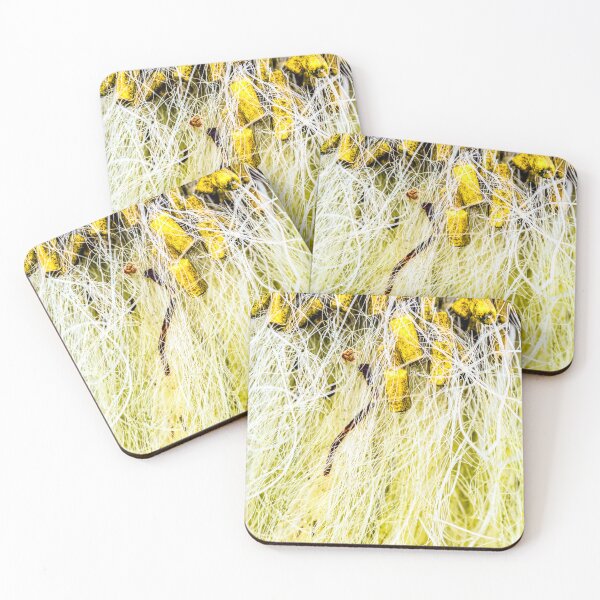 Item preview, Tropicália designed and sold by John Seaton Callahan.