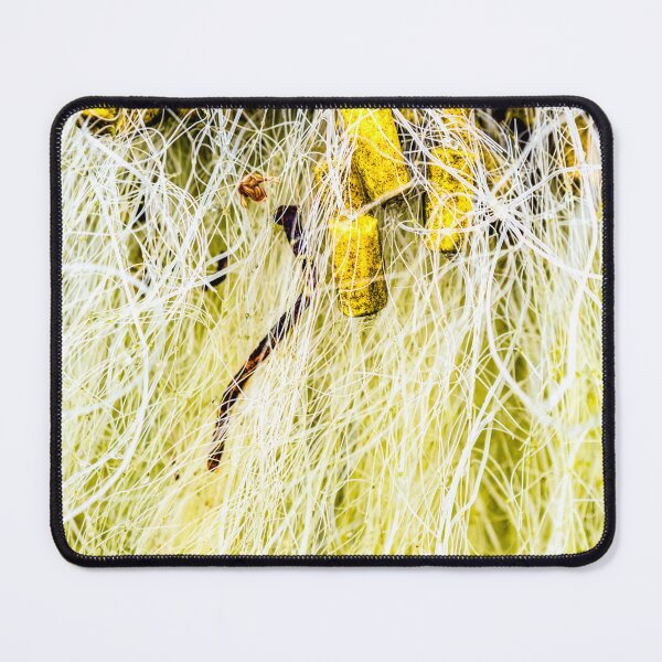 Item preview, Tropicália designed and sold by John Seaton Callahan.