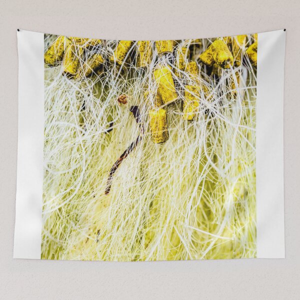 Item preview, Tropicália designed and sold by John Seaton Callahan.