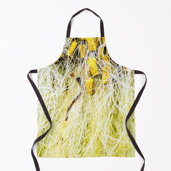 Item preview, Tropicália designed and sold by John Seaton Callahan.