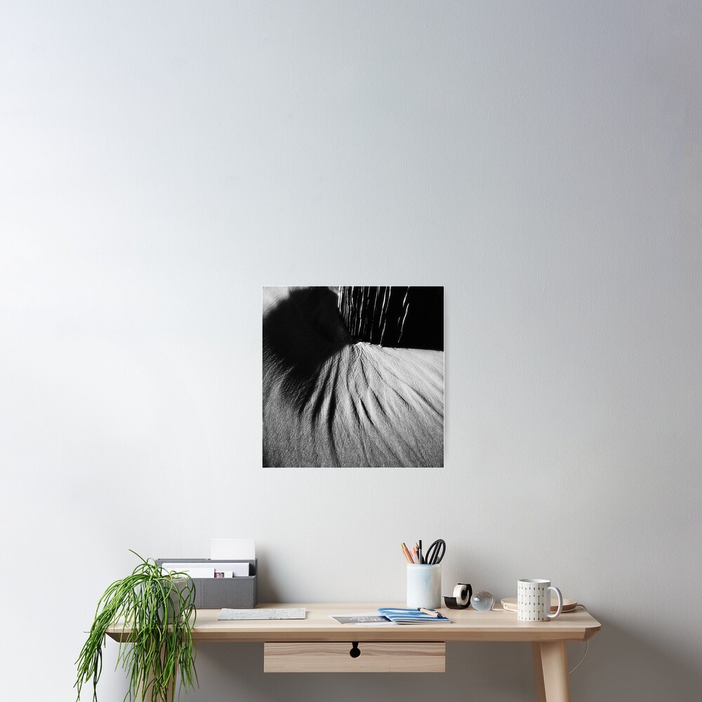 Tidal flow Poster