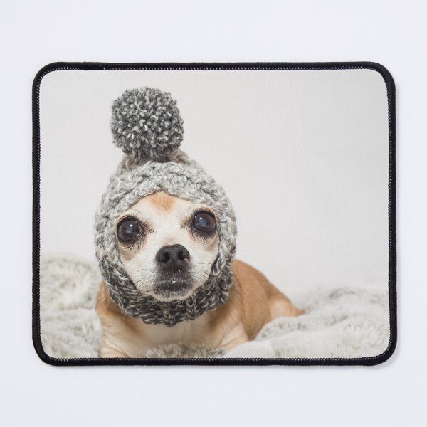 Item preview, Chihuahua dressed for warmth designed and sold by Kristin Yata.