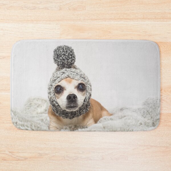 Item preview, Chihuahua dressed for warmth designed and sold by Kristin Yata.