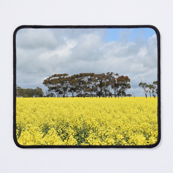 Item preview, Canola Fields in Foxhow designed and sold by Yolanda Caporn Art.