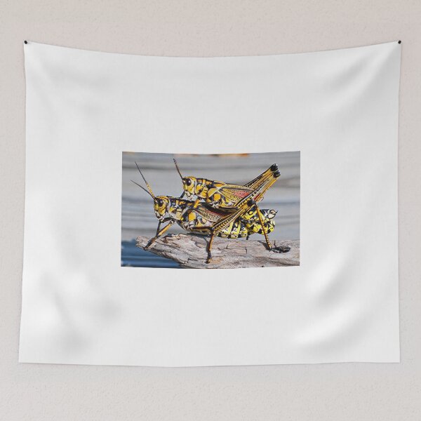 Item preview, Double Take Grasshopper  designed and sold by Karen Harding Art and Illustration .