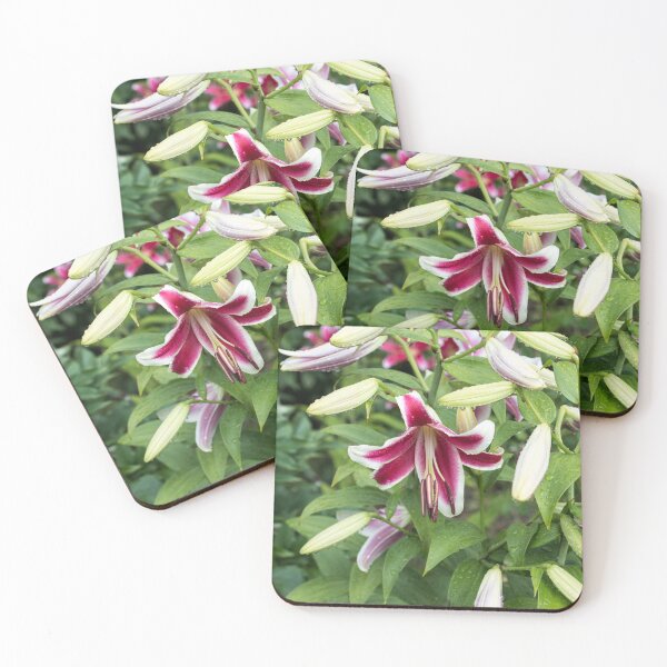 Item preview, Wet Stargazer Lilies and Buds designed and sold by Georgia Mizuleva.