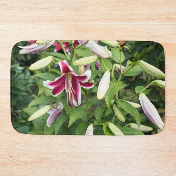 Item preview, Wet Stargazer Lilies and Buds designed and sold by Georgia Mizuleva.