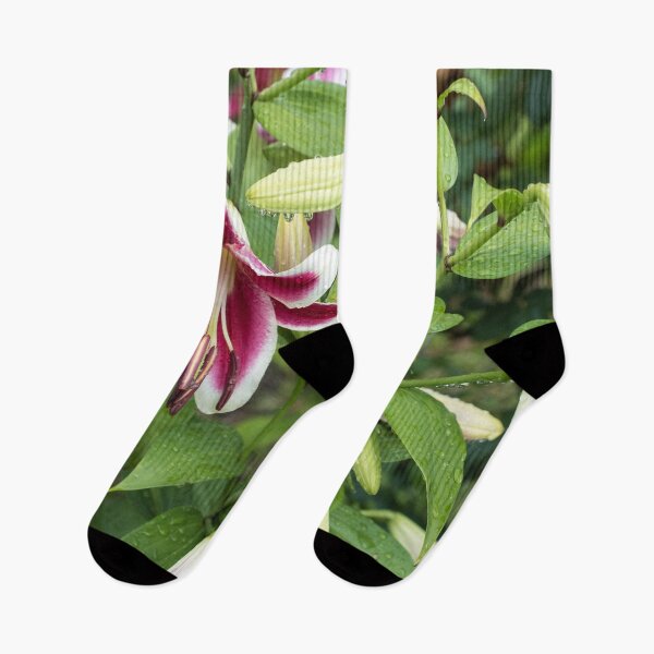 Item preview, Wet Stargazer Lilies and Buds designed and sold by Georgia Mizuleva.