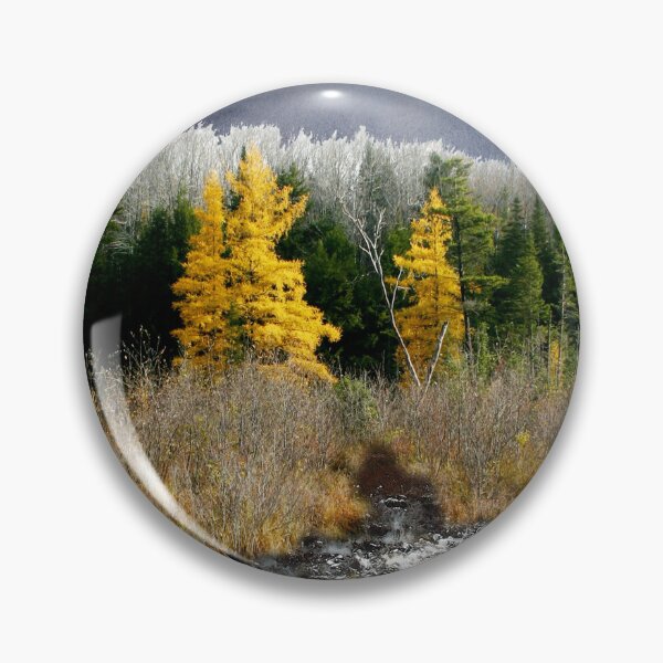 Item preview, A Golden Moment in the Larch Bog designed and sold by Wayne King.
