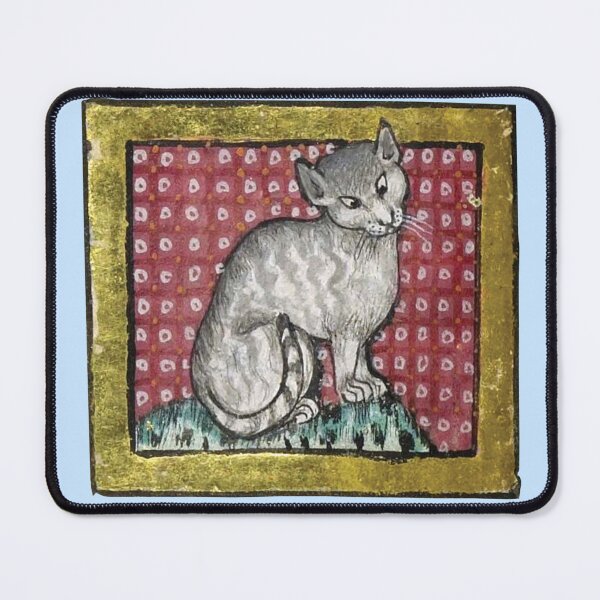 Item preview, Ugly medieval cat - Cat in a frame designed and sold by Grey House.