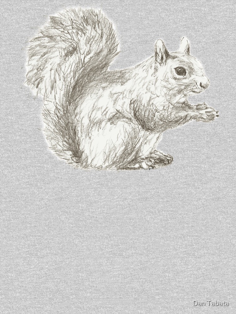 Resting Squirrel by dmtab