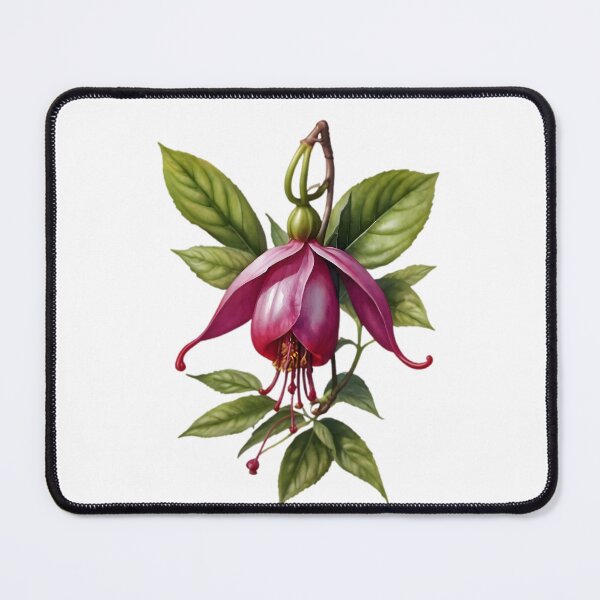 Item preview, Fuchsia (Fuchsia magellanica) designed and sold by HOMETOWN86.