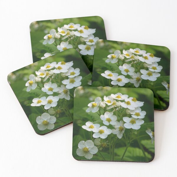 Item preview, Hautbois Strawberry bunch designed and sold by Jouko Lehto Photography.
