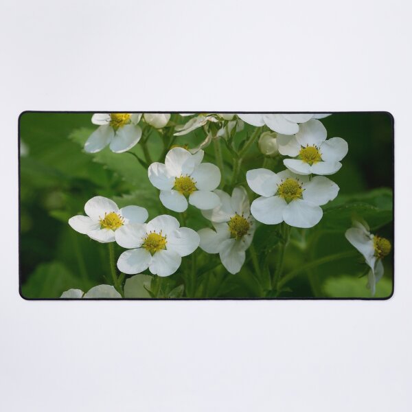 Item preview, Hautbois Strawberry bunch designed and sold by Jouko Lehto Photography.