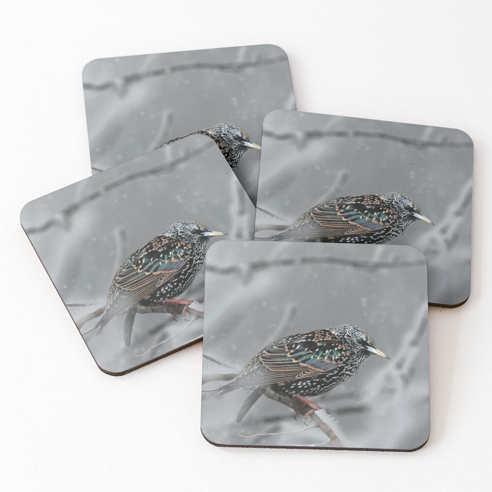 Item preview, Coasters (Set of 4) designed and sold by AlecPerego.