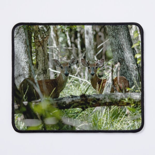 Item preview, Oh Deer 3 designed and sold by HedgecockPix.