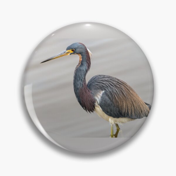 Item preview, Tricolored Heron And Its Showy Plumage designed and sold by Debra Martz.