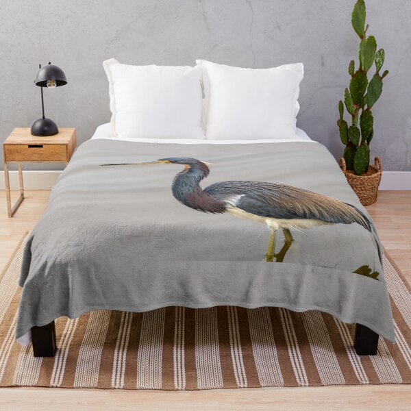 Item preview, Tricolored Heron And Its Showy Plumage designed and sold by Debra Martz.