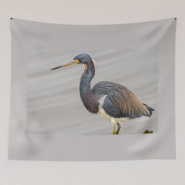 Item preview, Tricolored Heron And Its Showy Plumage designed and sold by Debra Martz.