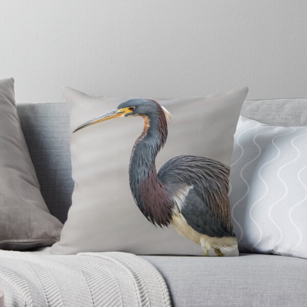 Item preview, Tricolored Heron And Its Showy Plumage designed and sold by Debra Martz.