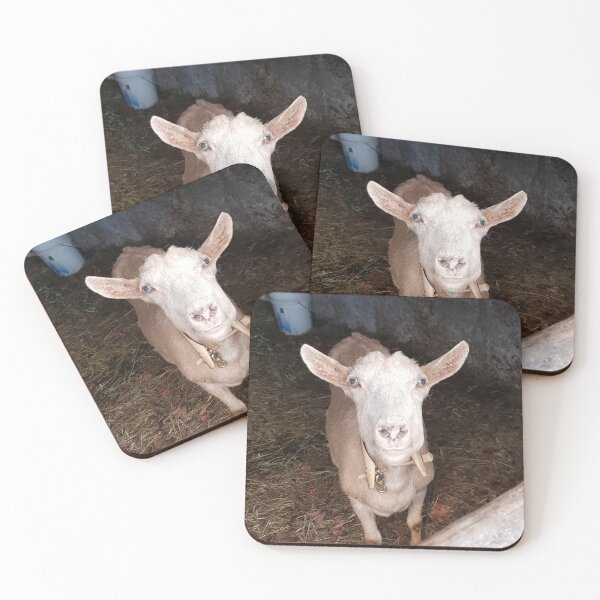Item preview, stara the goat photograph designed and sold by thecatqueenco.