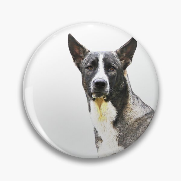 Item preview, A black and white mixed breed dog with erect ears and an intense gaze on a dark background, showing short, coarse fur and an alert demeanor. designed and sold by KinImageCraft.