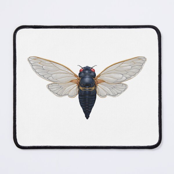 Item preview, Periodical Cicada designed and sold by sdawsonart.