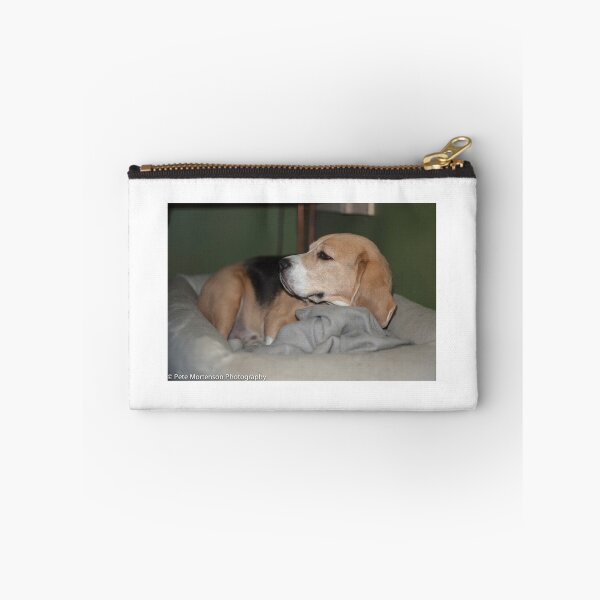 Item preview, Cricket the beagle designed and sold by petemortenson.