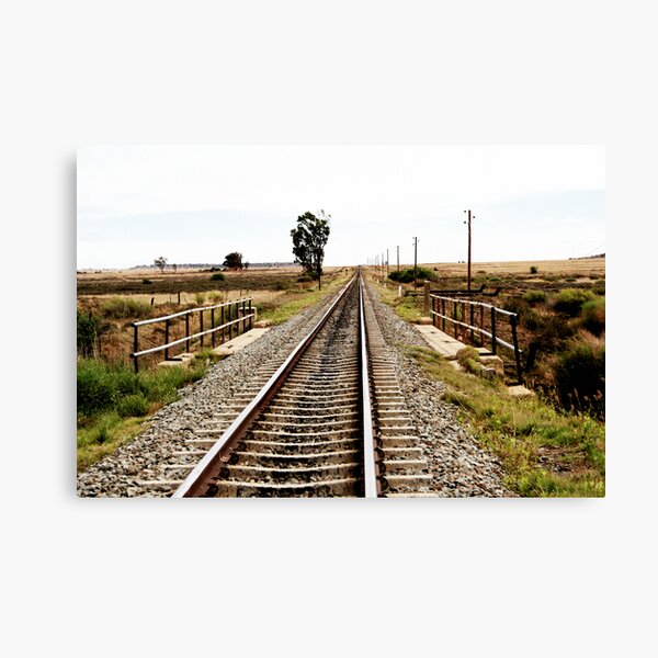As Far as the Eye Can See Canvas Print