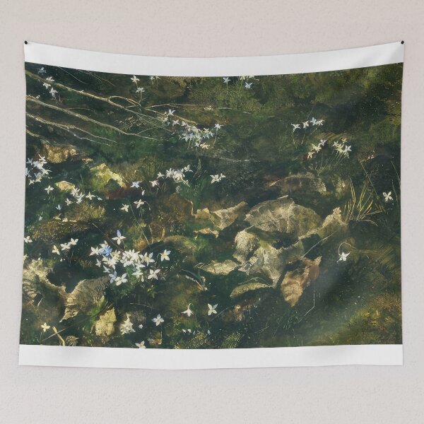 Item preview, Andrew Wyeth designed and sold by Jimenezzayy.