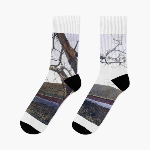 Item preview, Andrew Wyeth designed and sold by Jimenezzayy.
