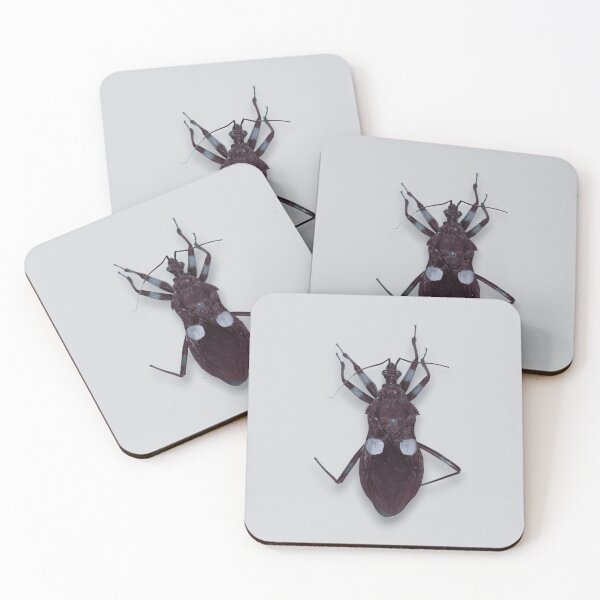 Item preview, Assassin Bug designed and sold by Studio Sonders.