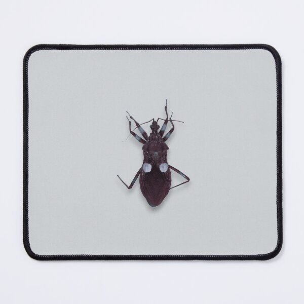 Item preview, Assassin Bug designed and sold by Studio Sonder.