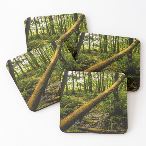 Item preview, Fallen Tree in a Lush Woodland designed and sold by minstr3l.