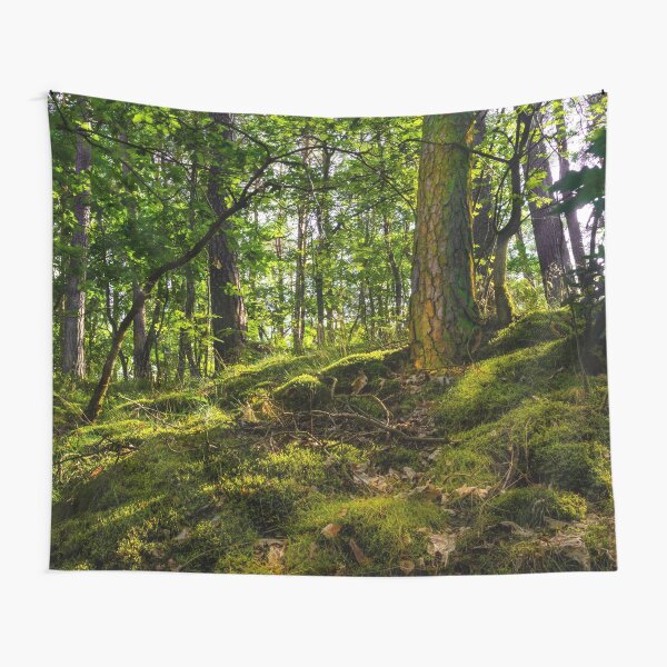 Item preview, Forest Floor in Afternoon Light designed and sold by minstr3l.