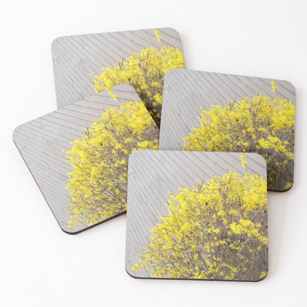Item preview, Forsythia Against Wall: yellow flowers and diagonals. designed and sold by Dustwood-Media.