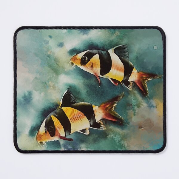Item preview, Clown Loach Tiger / Chromobotia macracanthus designed and sold by PumpkinStudioPL.