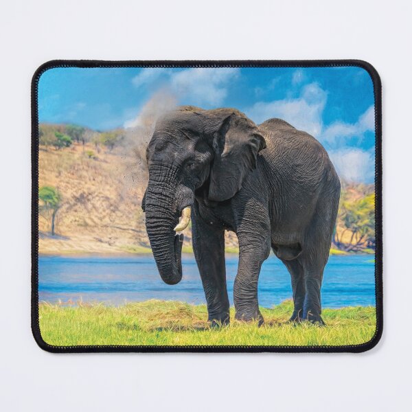 Item preview, Elephant Dust Bath, Painterly designed and sold by Kay Brewer.