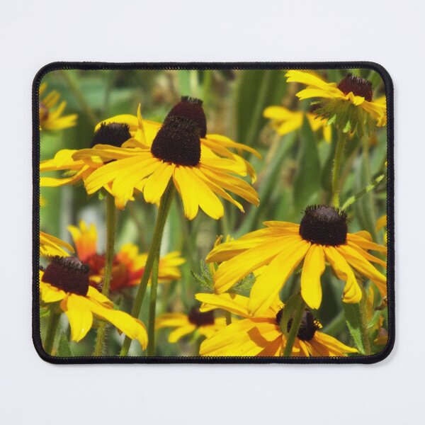 Item preview, Black Eyed Susans designed and sold by Brenda's Images.