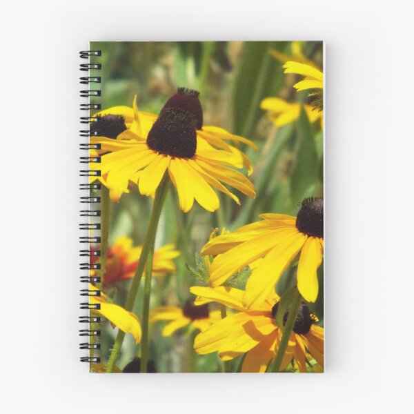 Item preview, Black Eyed Susans designed and sold by Brenda's Images.