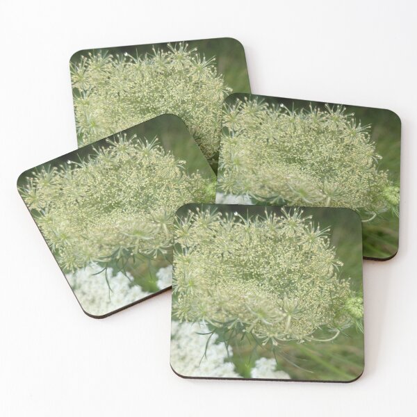 Item preview, Queen Anne's Lace designed and sold by Kaleidoscopic Life.