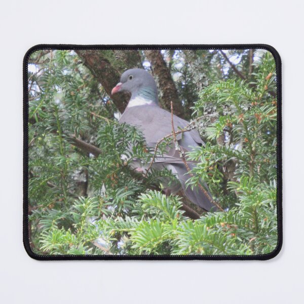 Item preview, Wood Pigeon In A Tree - South Brent designed and sold by lezvee.