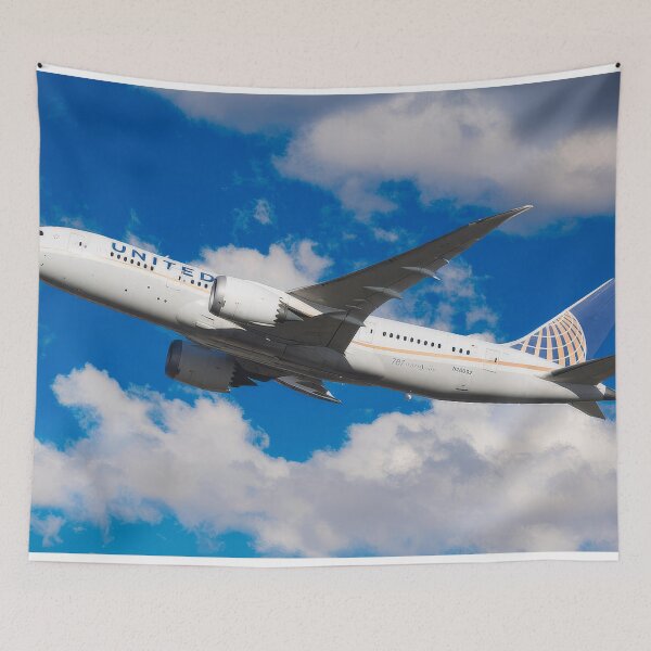 Item preview, United Boeing 787-8 Dreamliner designed and sold by Skyframe Aviation.