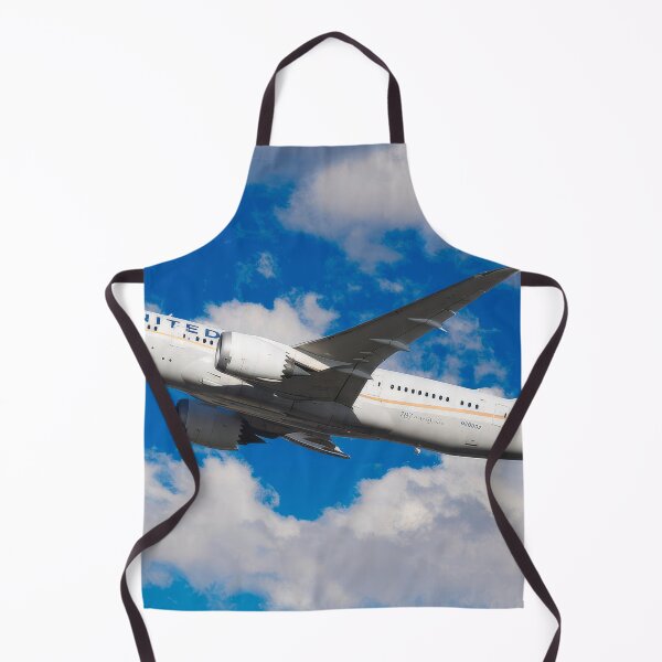 Item preview, United Boeing 787-8 Dreamliner designed and sold by Skyframe Aviation.