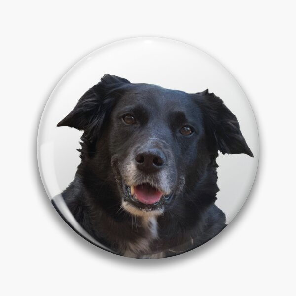 Item preview, Cute Dog designed and sold by HuntersHavock.