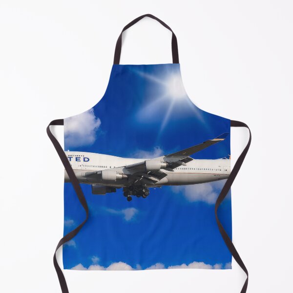 Item preview, United Boeing 747-422 designed and sold by Skyframe Aviation.