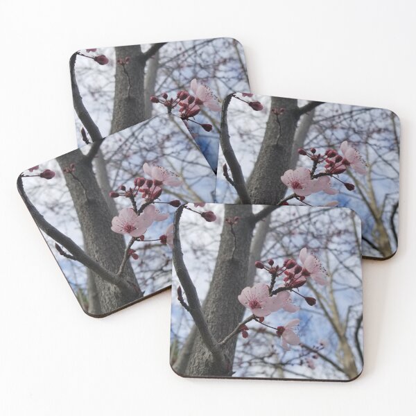 Item preview, Winter Bloom  designed and sold by AaronFritsch.